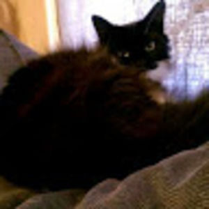 Meet your Posher, Erica